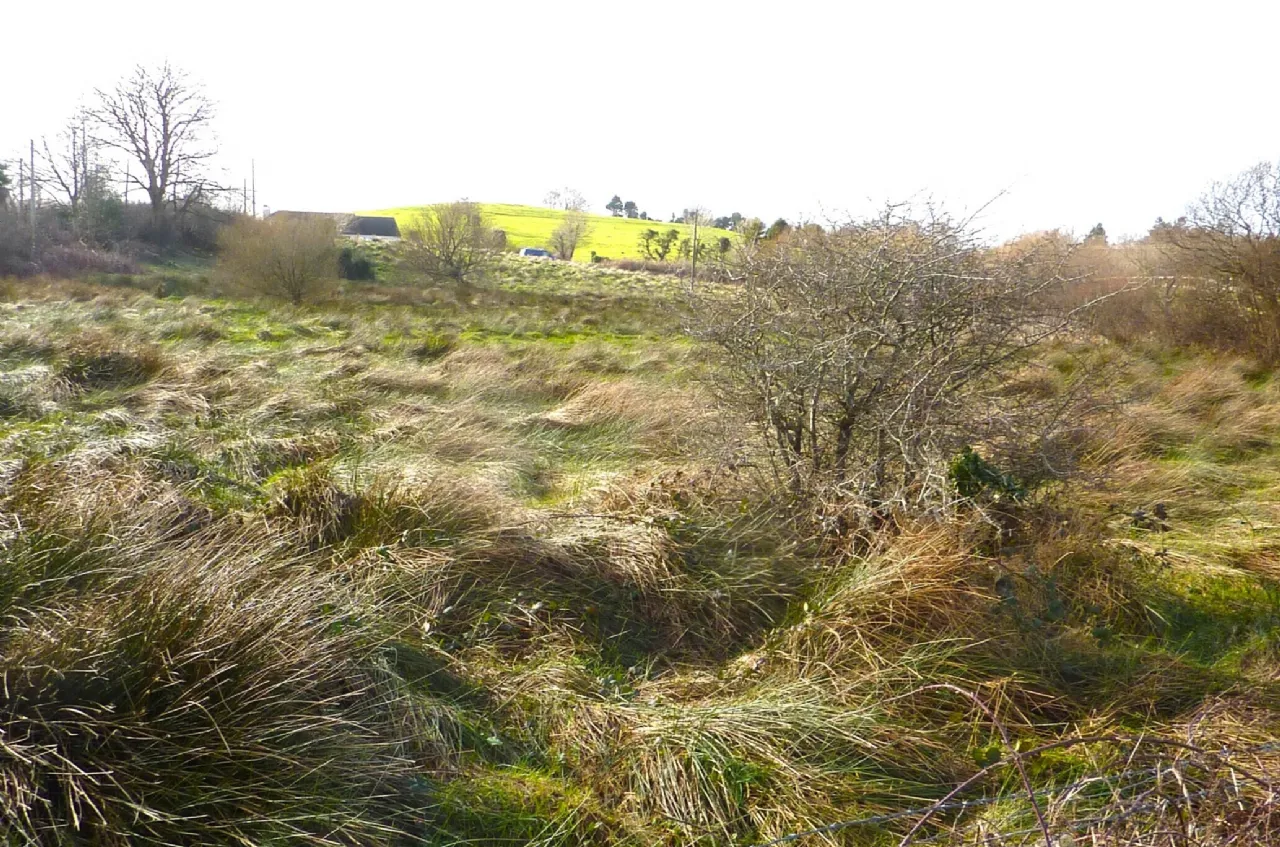 Photo of 5.24 Acres Of Land, Carrowbaun, Westport, Co Mayo