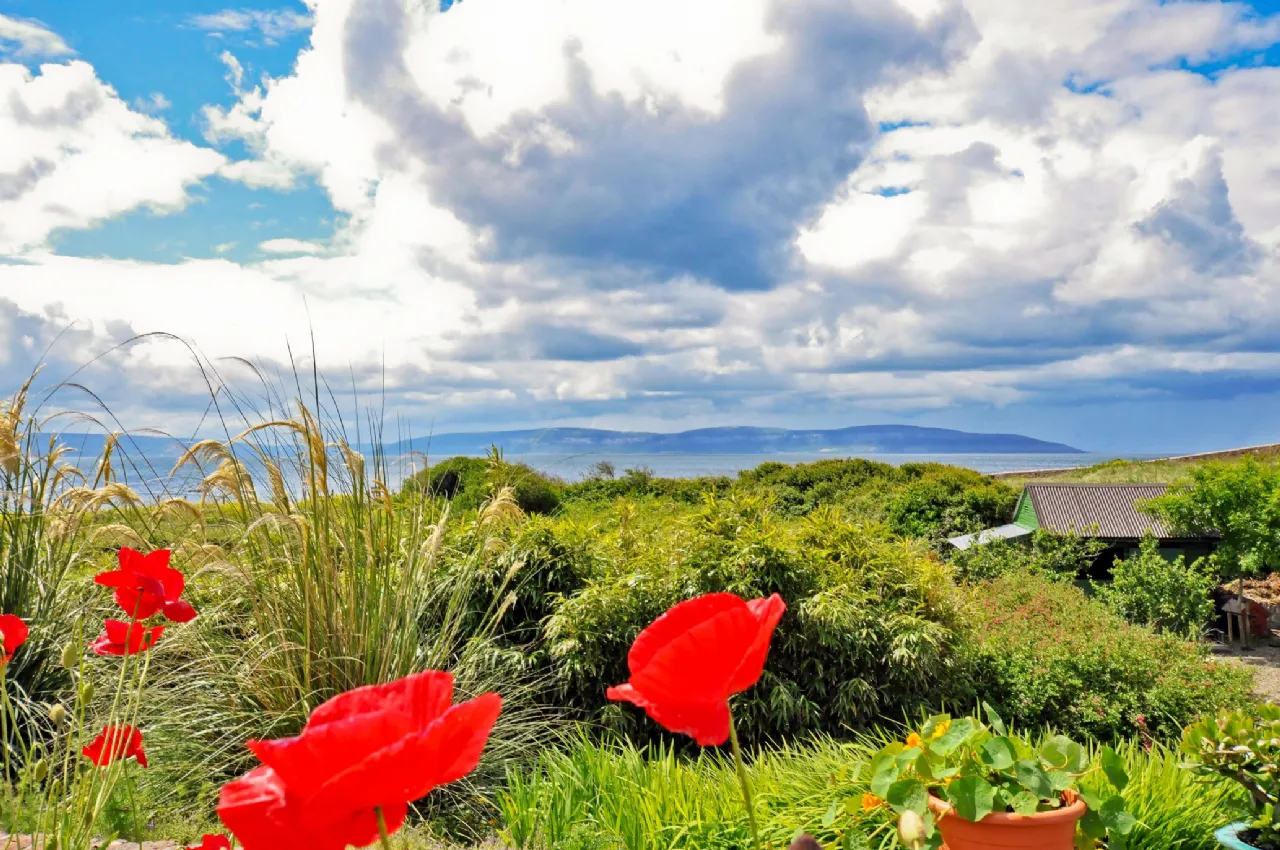 Photo of Heywood, Pier Road, Barna, Co. Galway, H91 AC2W