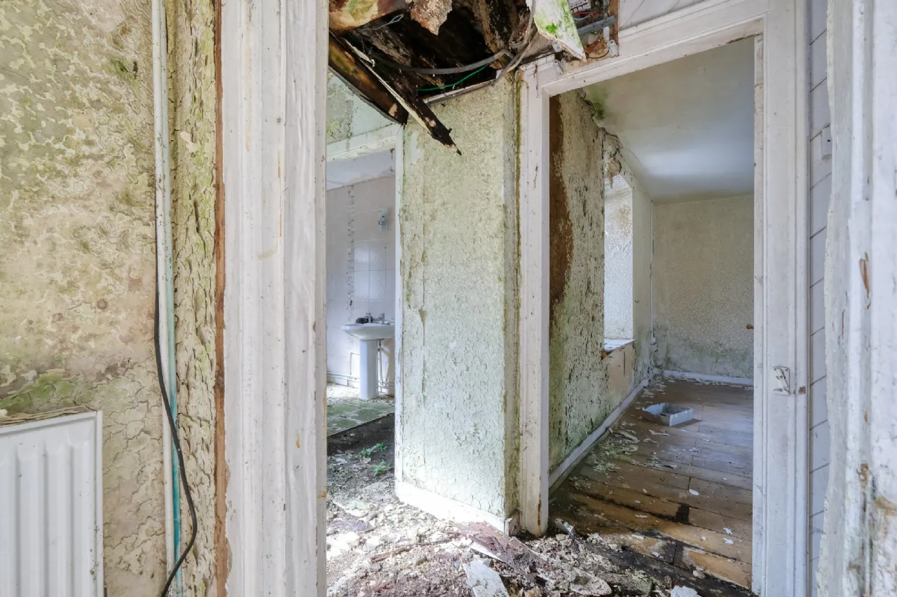 Photo of Caggle, Strokestown,, Co. Roscommon, F42 YW93