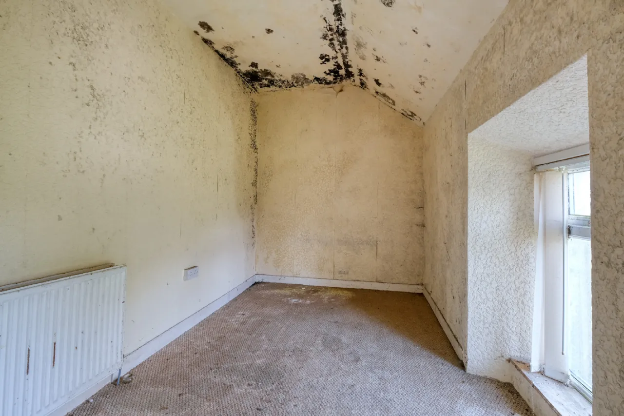 Photo of Caggle, Strokestown,, Co. Roscommon, F42 YW93