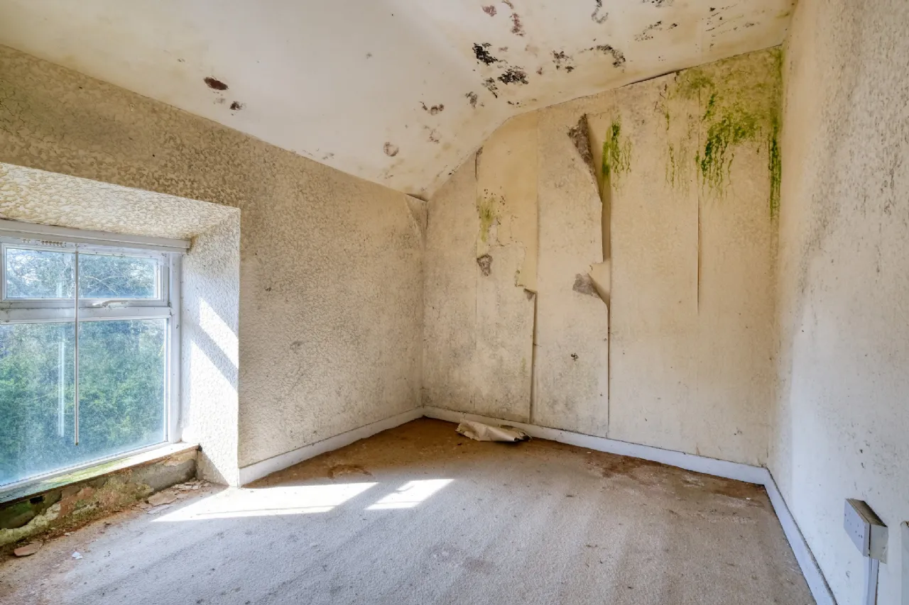 Photo of Caggle, Strokestown,, Co. Roscommon, F42 YW93