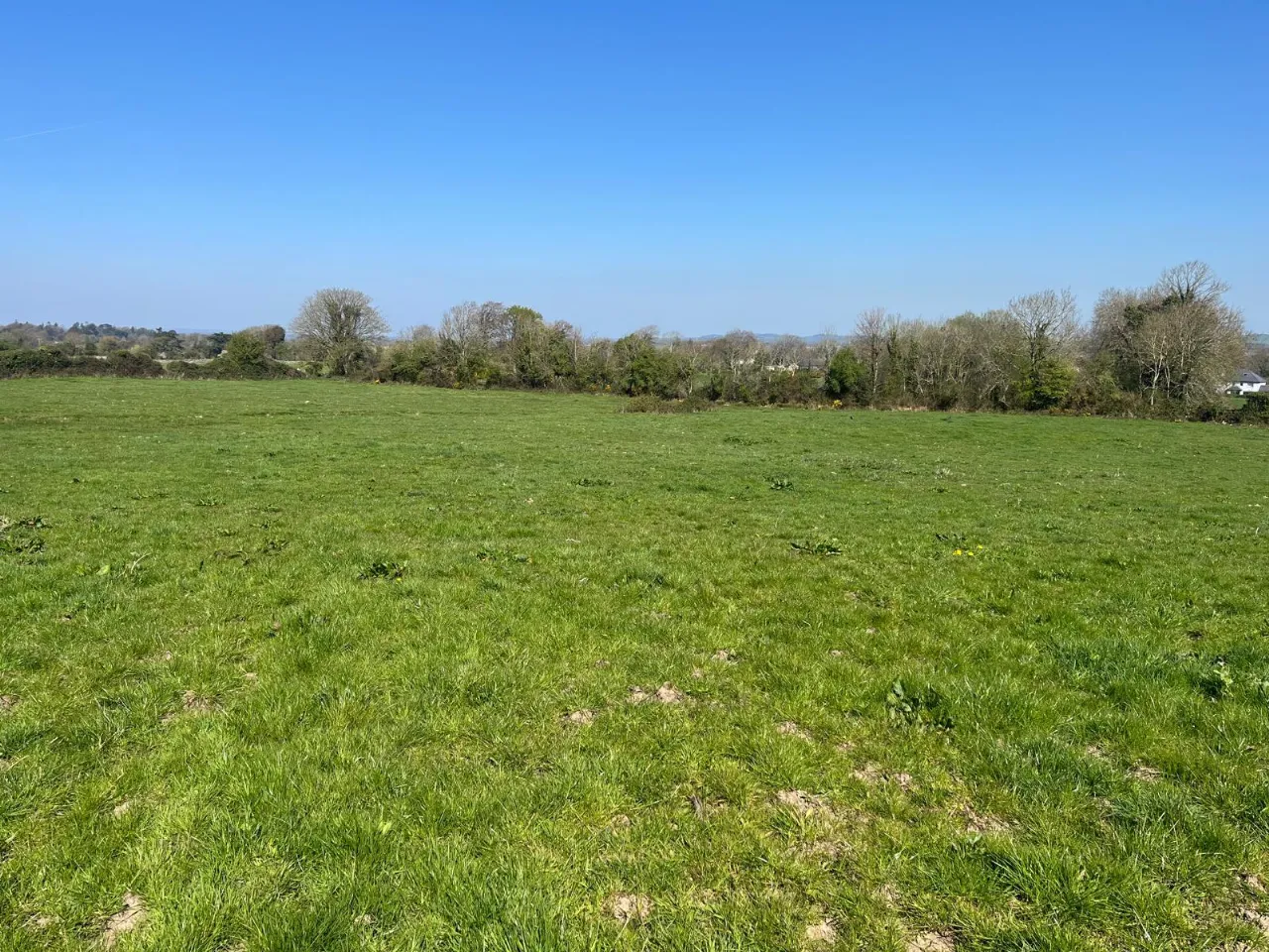 Photo of Monroe, Newtown, Nenagh