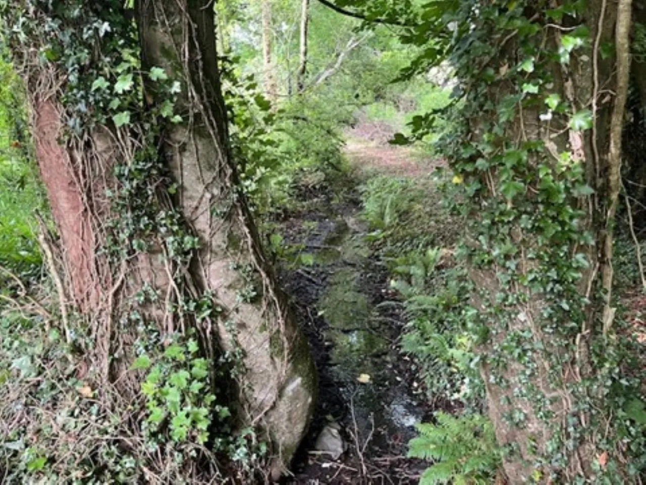 Photo of Derelict Bungalow, Brownsbarn, Thomastown, Co Kilkenny, R95 AK5V