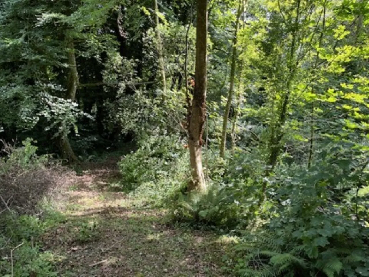 Photo of Derelict Bungalow, Brownsbarn, Thomastown, Co Kilkenny, R95 AK5V