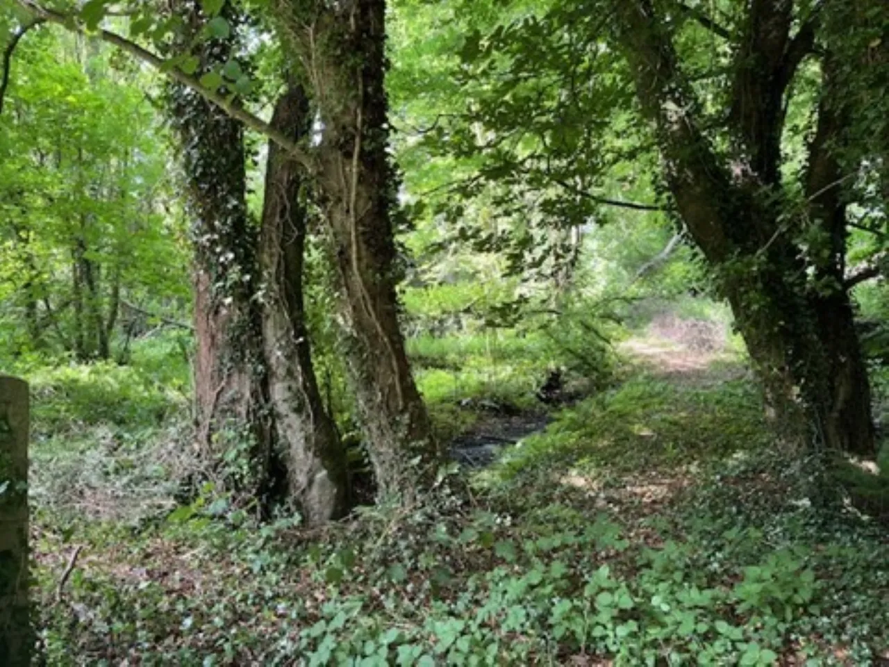 Photo of Derelict Bungalow, Brownsbarn, Thomastown, Co Kilkenny, R95 AK5V