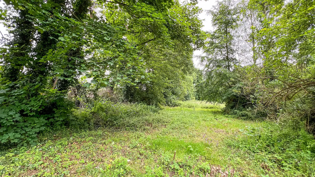 Photo of Derelict Bungalow, Brownsbarn, Thomastown, Co Kilkenny, R95 AK5V