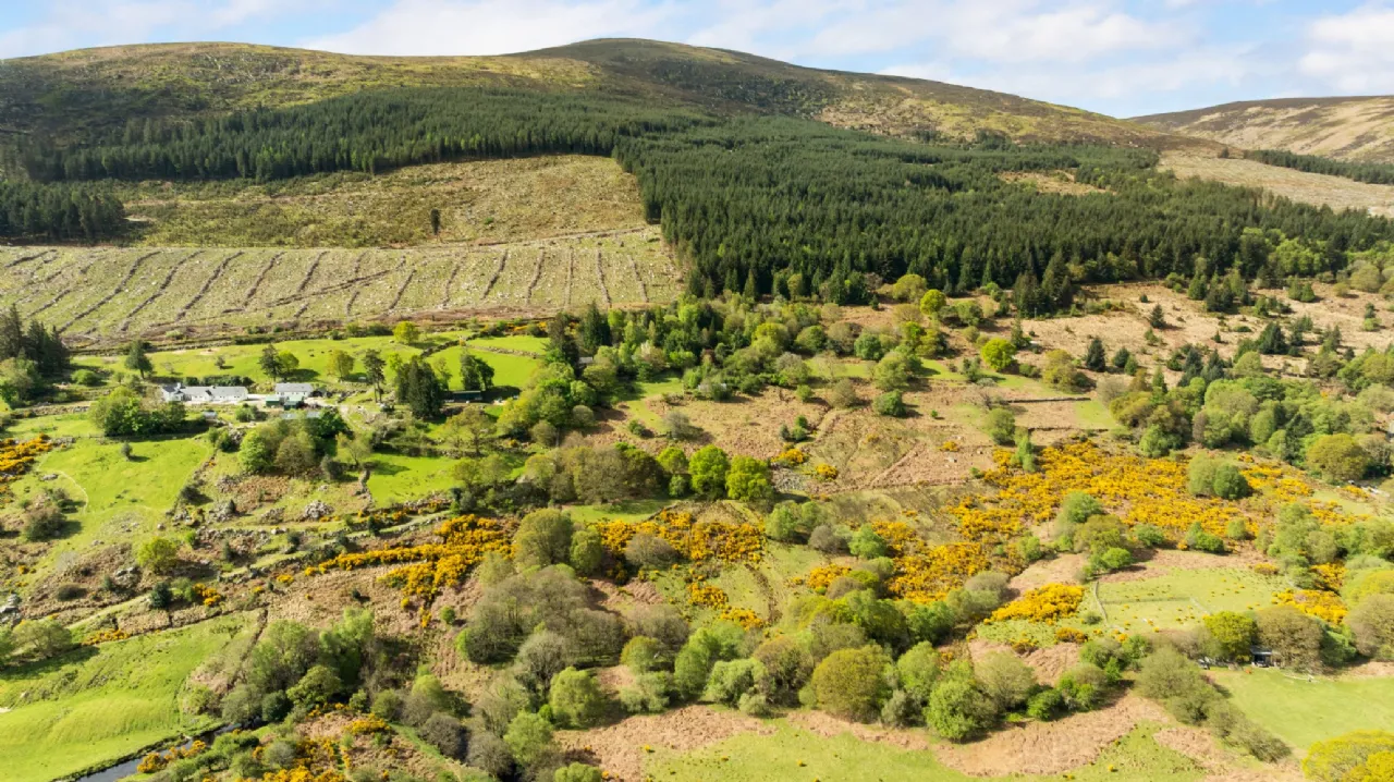 Photo of Ballyross, Enniskerry, Co. Wicklow, A98 TW27