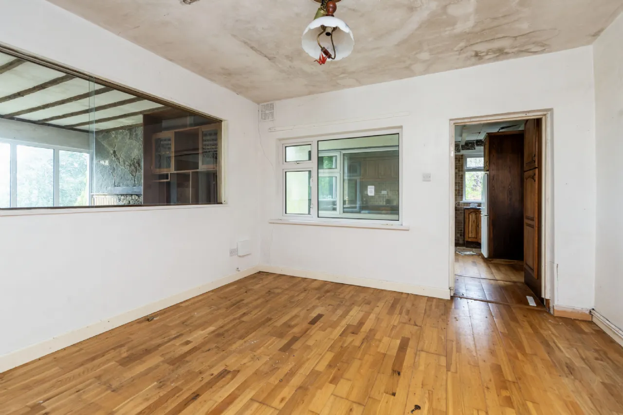 Photo of Pehuen, Shelmalier Commons, Barntown, Co. Wexford, Y35 E1W1