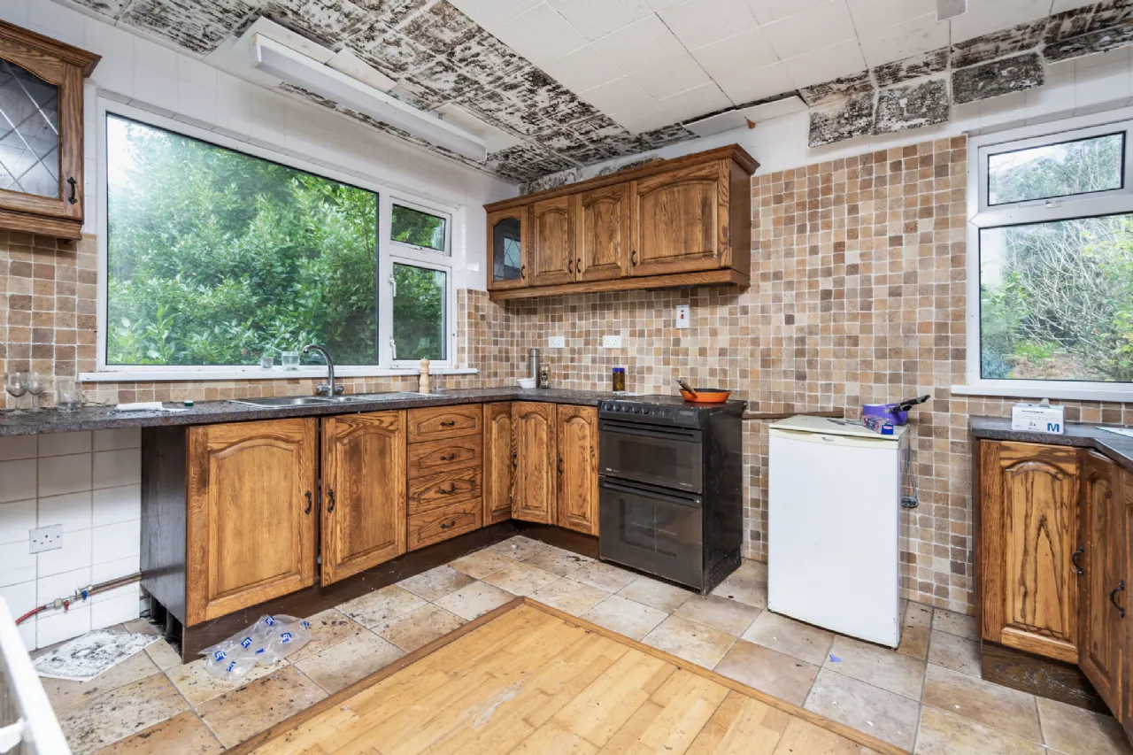 Photo of Pehuen, Shelmalier Commons, Barntown, Co. Wexford, Y35 E1W1