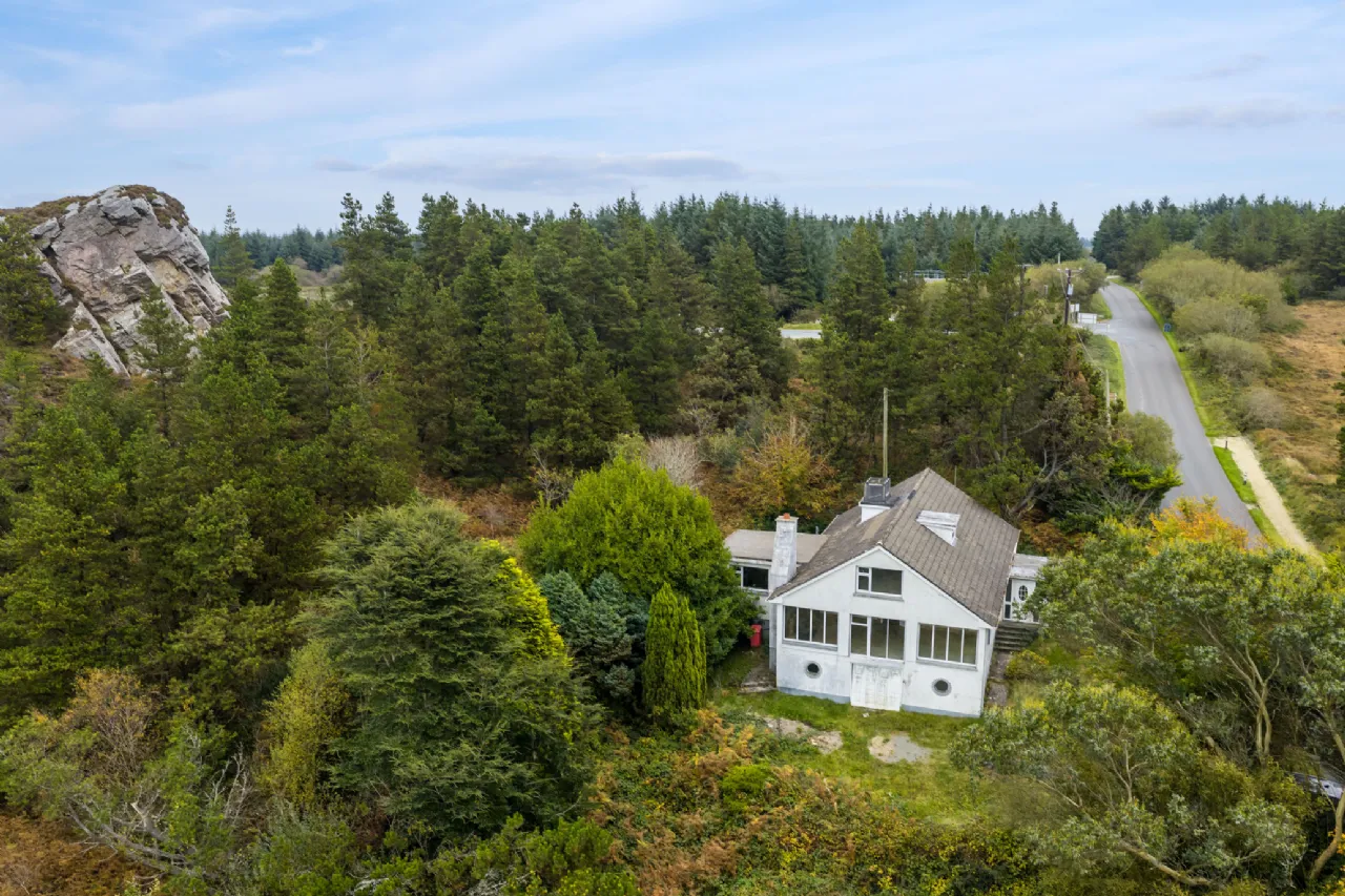 Photo of Pehuen, Shelmalier Commons, Barntown, Co. Wexford, Y35 E1W1