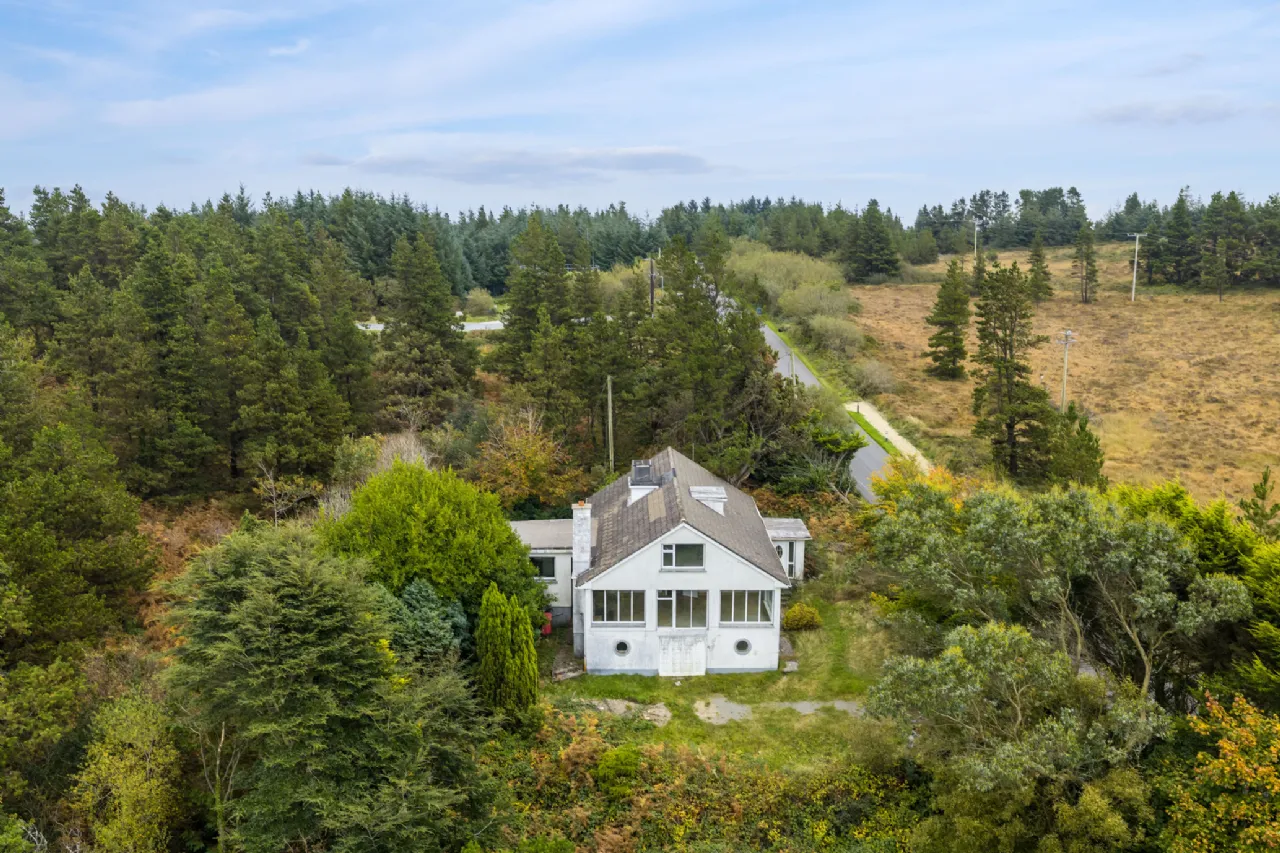 Photo of Pehuen, Shelmalier Commons, Barntown, Co. Wexford, Y35 E1W1