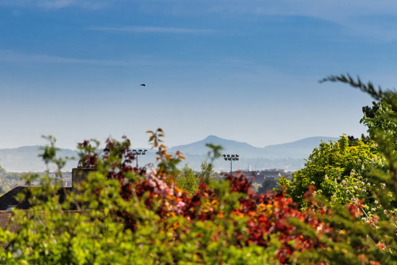 Photo of 2 Hill Drive, Malahide, Co.Dublin, K36 Y765