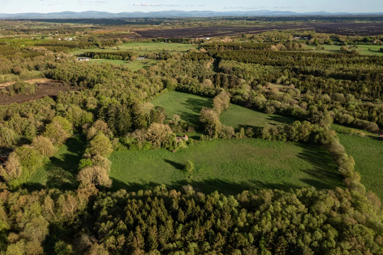 Photo of Derryvarogue, Donadea, Co Kildare