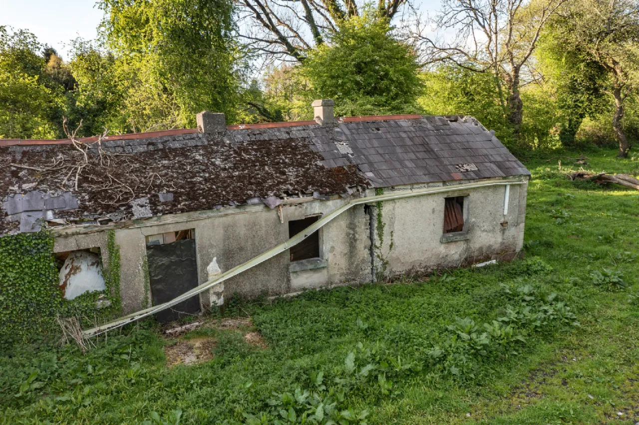 Photo of Derryvarogue, Donadea, Co Kildare