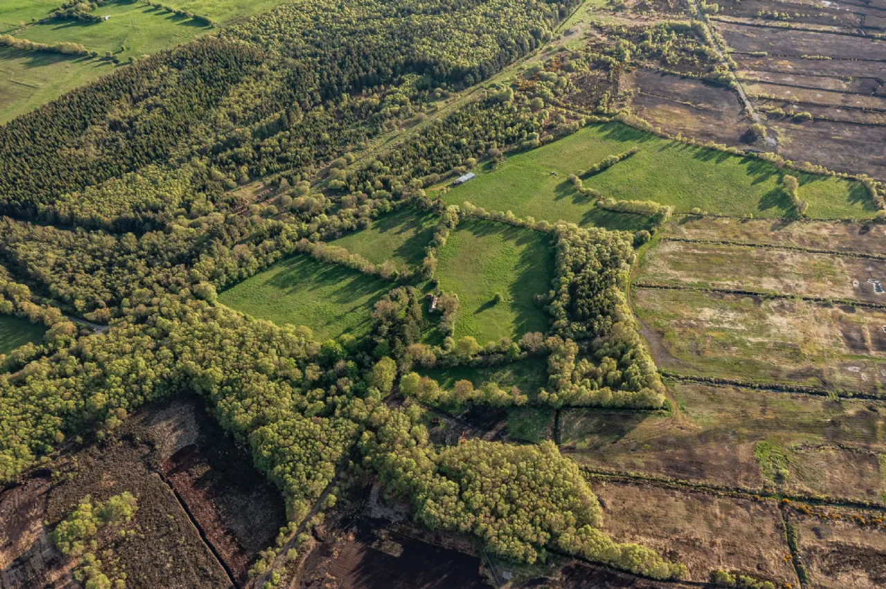 Photo of Derryvarogue, Donadea, Co Kildare