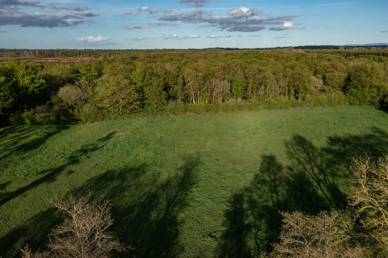 Photo of Derryvarogue, Donadea, Co Kildare