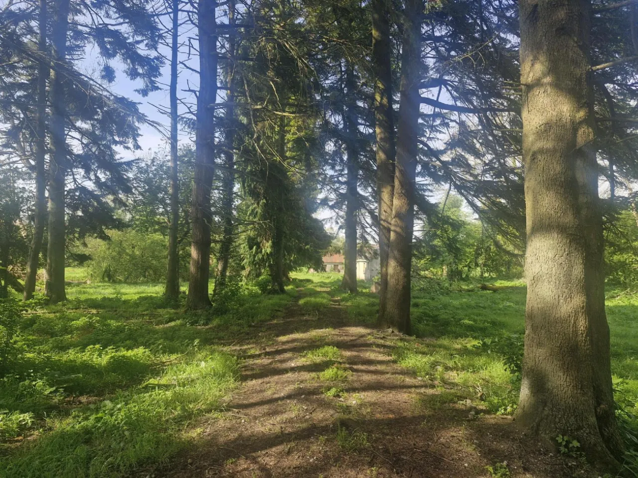 Photo of Derryvarogue, Donadea, Co Kildare