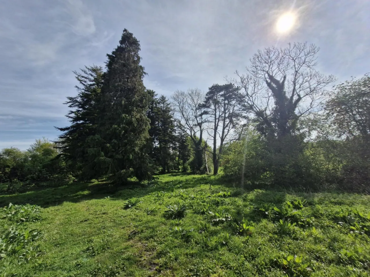 Photo of Derryvarogue, Donadea, Co Kildare