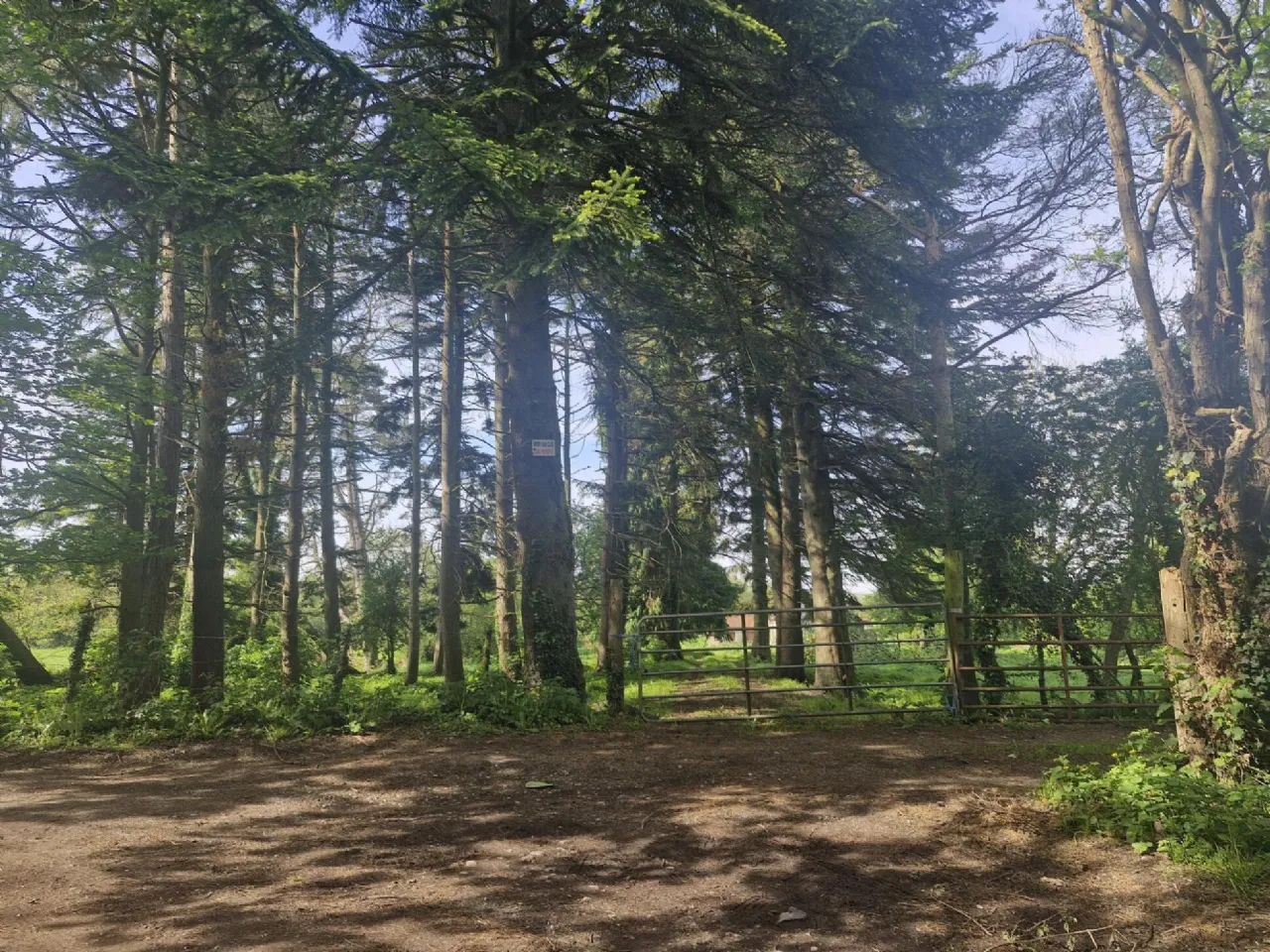 Photo of Derryvarogue, Donadea, Co Kildare