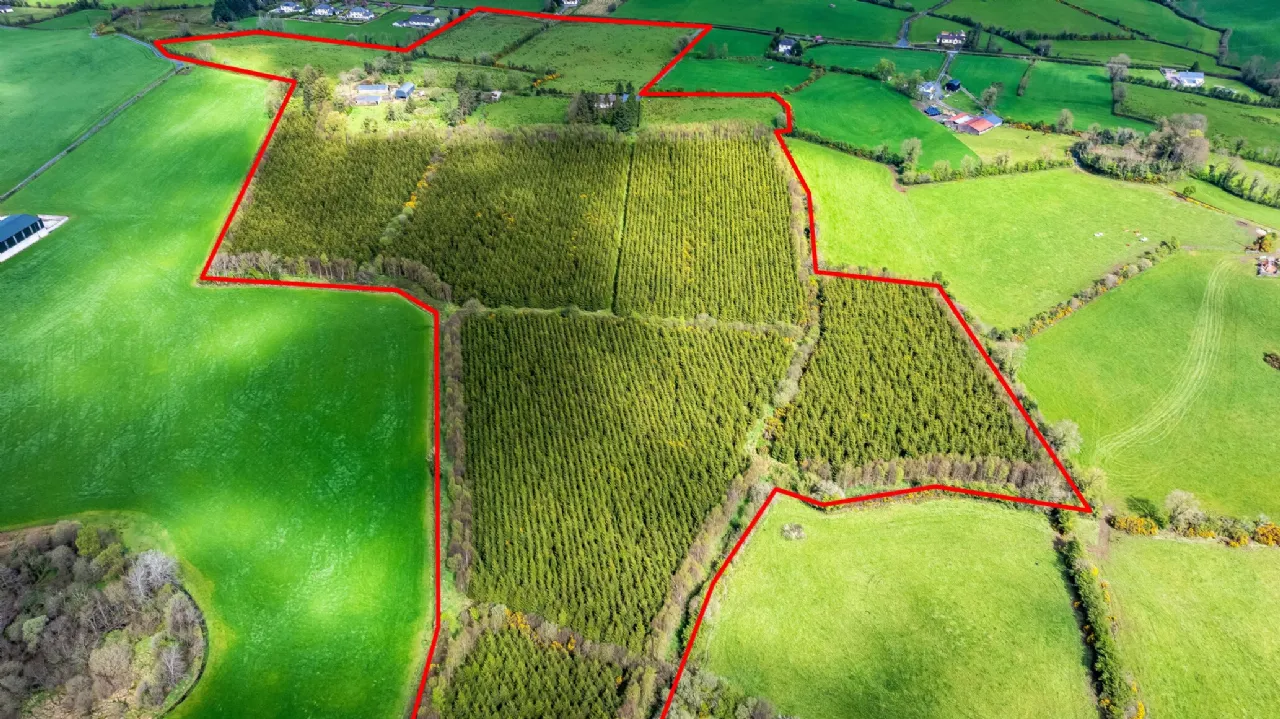 Photo of Maghernaharney, Rockcorry, Co. Monaghan, H18EY02