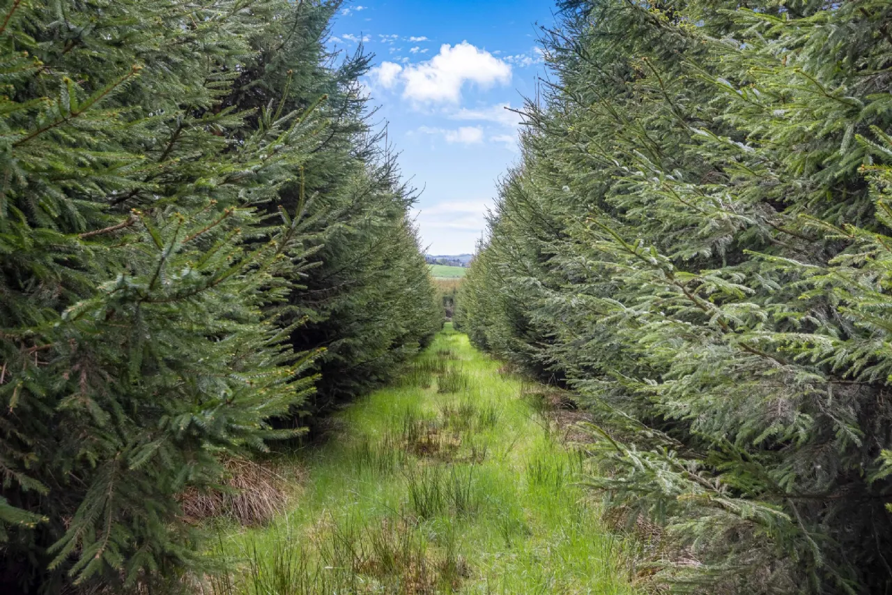 Photo of Maghernaharney, Rockcorry, Co. Monaghan, H18EY02