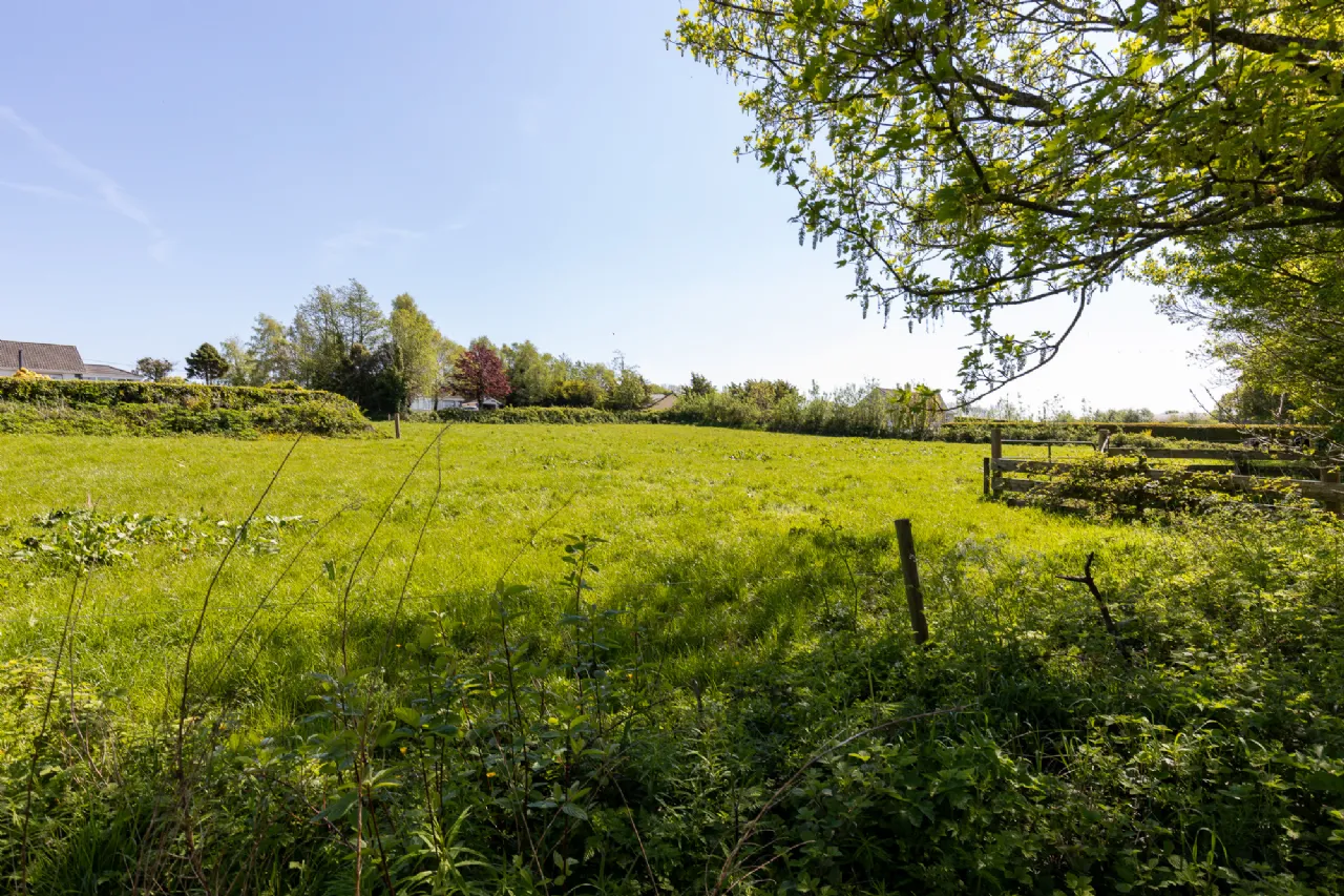 Photo of Mountain View, Tinashrule, Ferns, Co. Wexford, Y21YW20