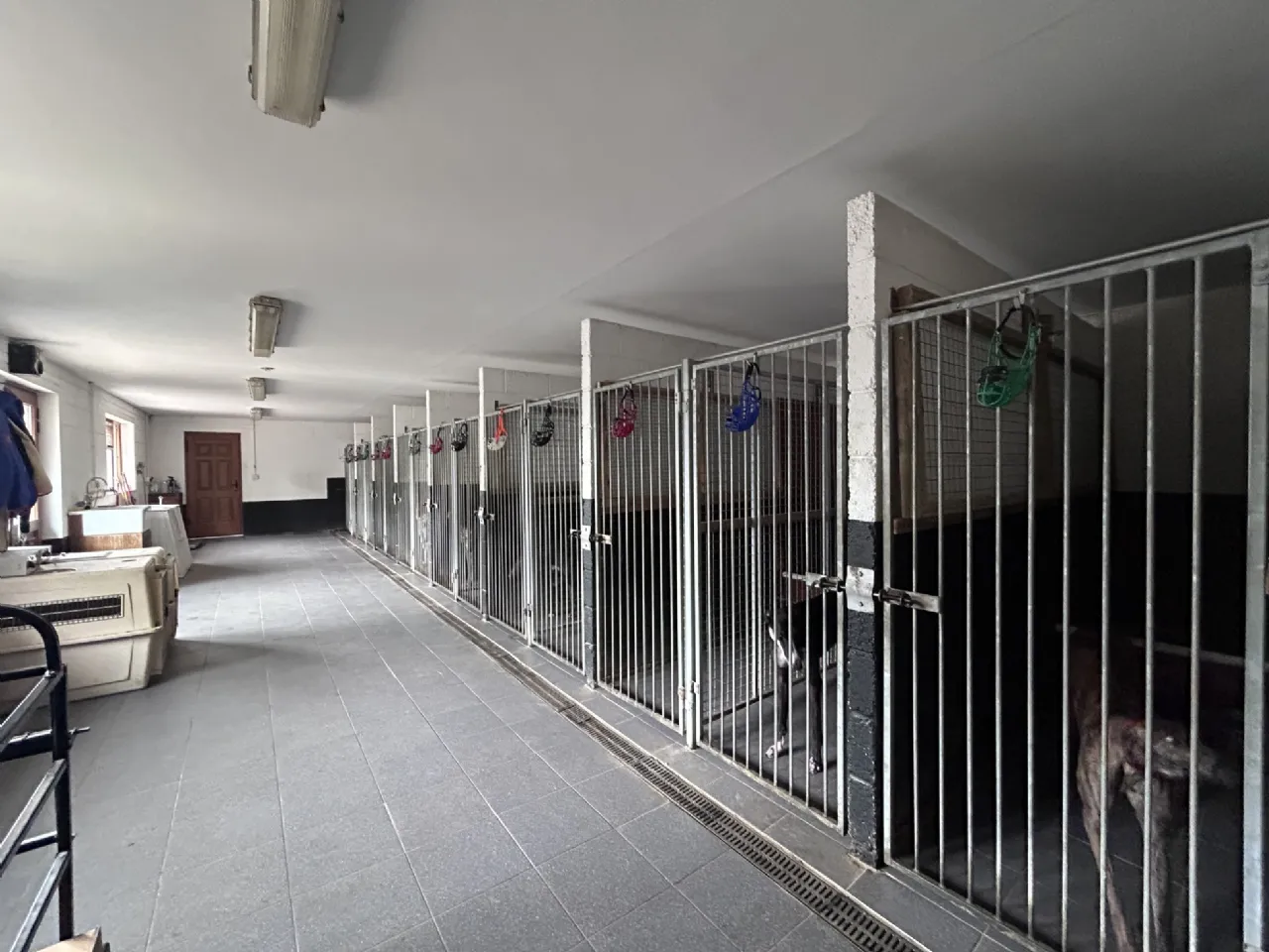 Photo of Masterstown, New Inn, Cashel, Co. Tipperary, E25FW64