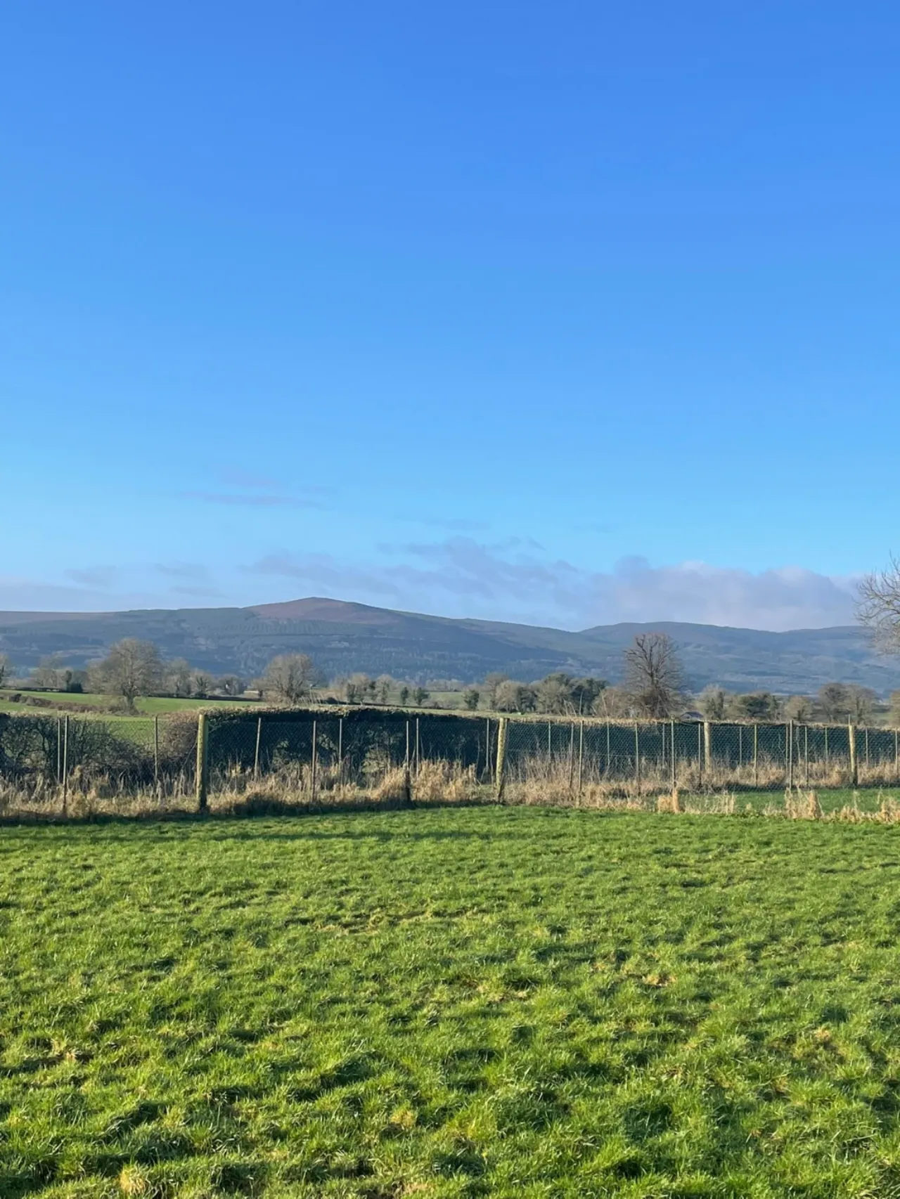 Photo of Masterstown, New Inn, Cashel, Co. Tipperary, E25FW64