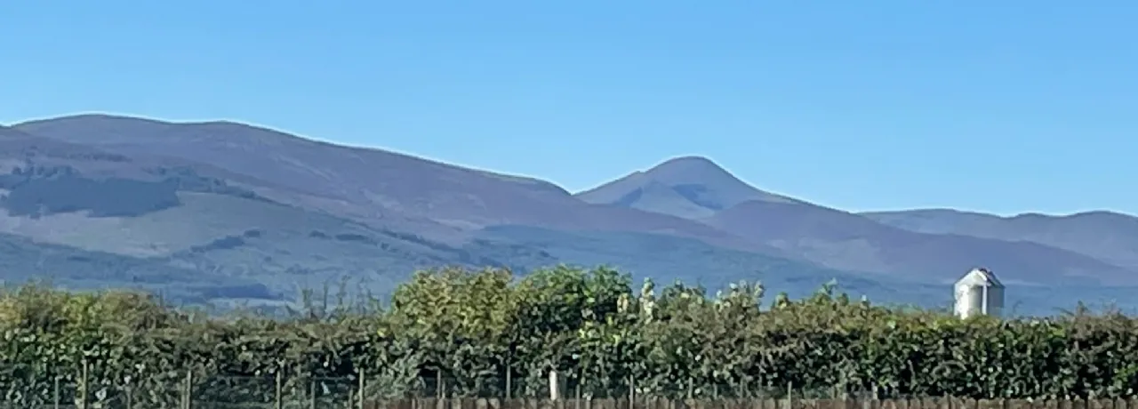 Photo of Masterstown, New Inn, Cashel, Co. Tipperary, E25FW64