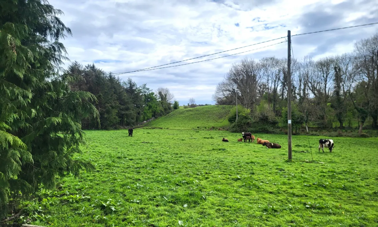 Photo of Site SPP Bunrawer, Ayle, Westport, Co Mayo