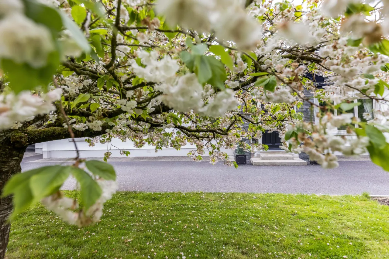 Photo of Lack, Readstown, Summerhill Road, Trim, Co Meath, C15 KX43