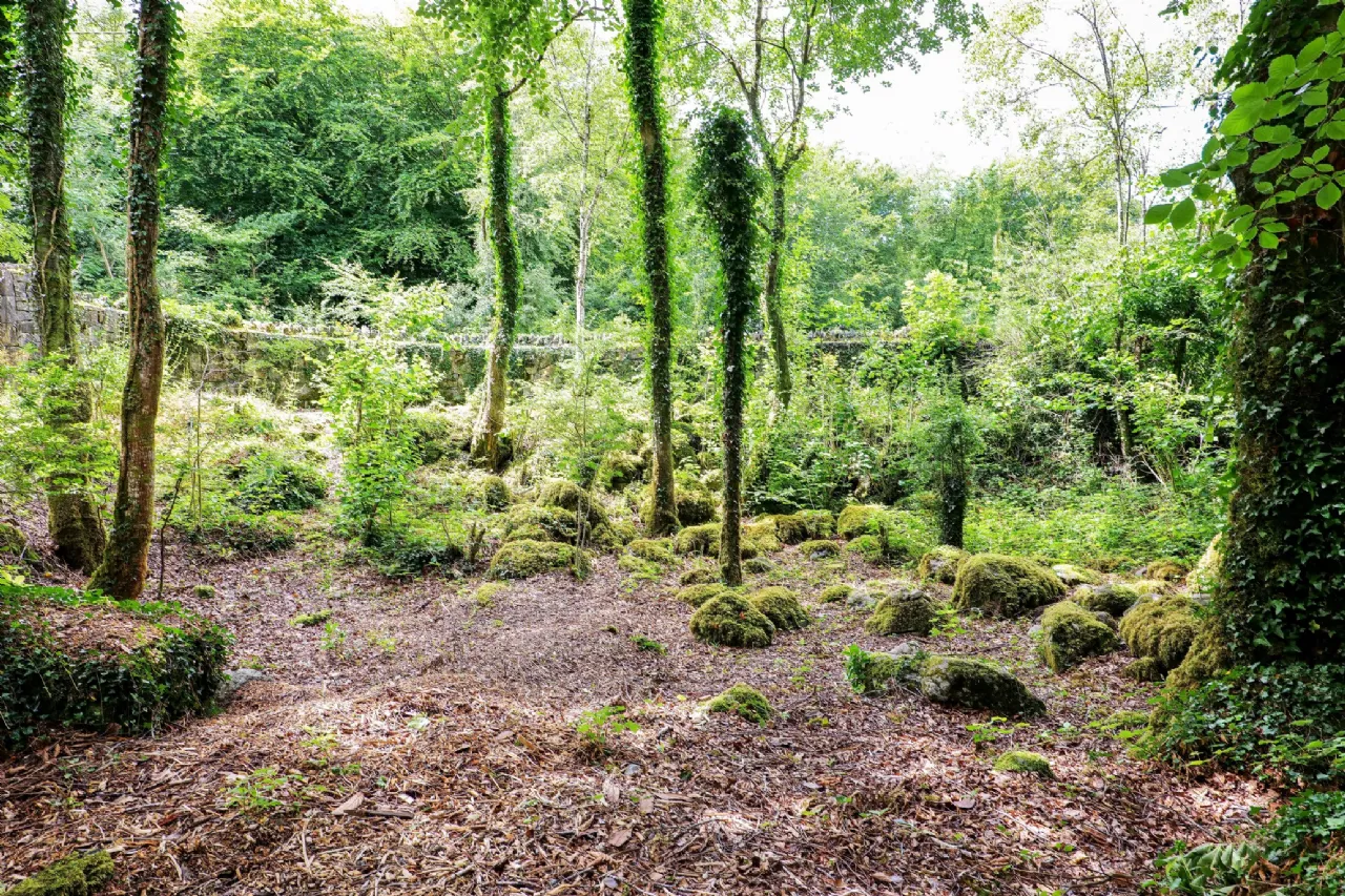 Photo of Belwood, Ballynahallia, Moycullen, Co. Galway, H91 C5PN