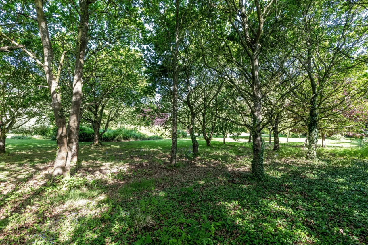 Photo of Westpalstown, Oldtown, Co Dublin, A45 HR83