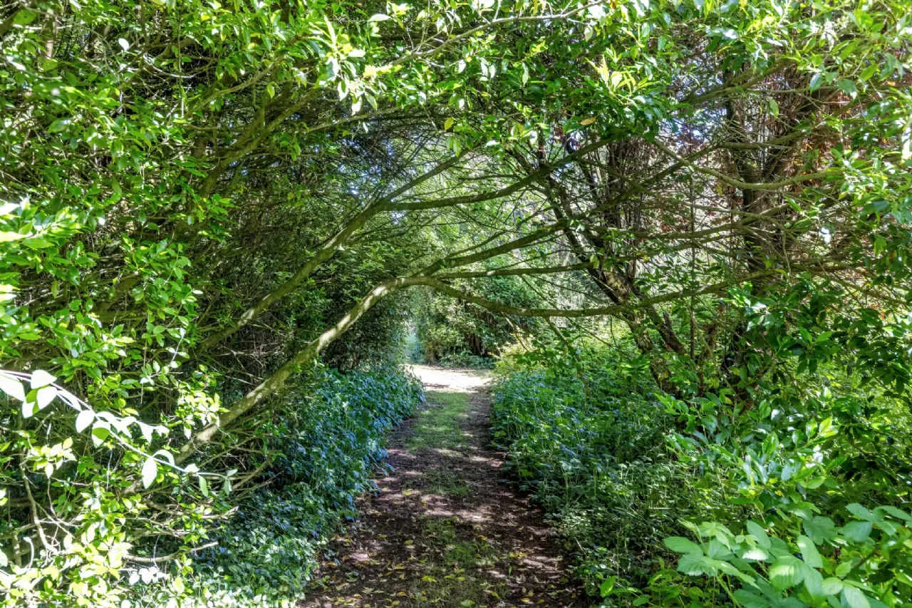 Photo of Westpalstown, Oldtown, Co Dublin, A45 HR83