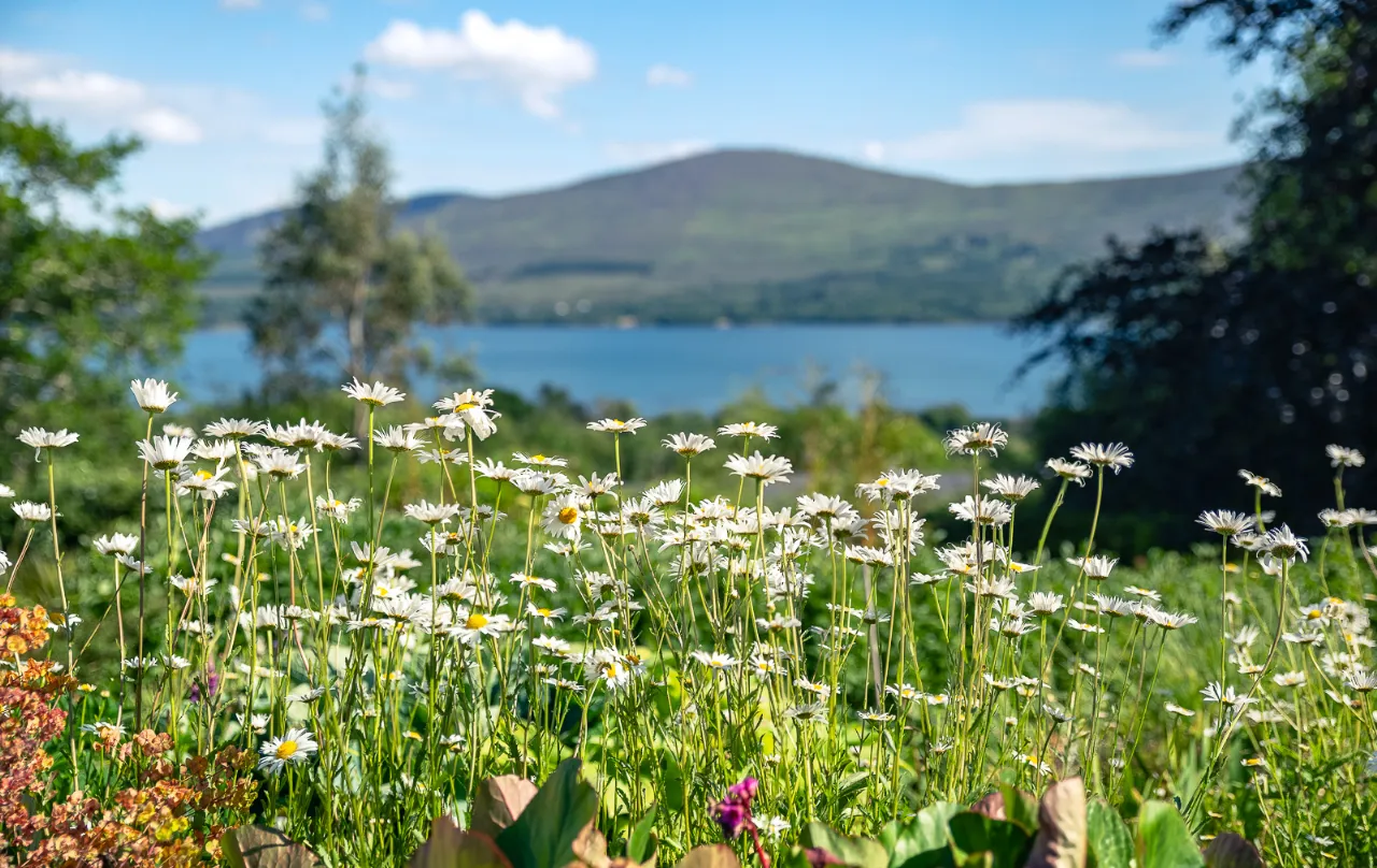 Photo of Cappanacush East, Greenane, Kenmare, Co. Kerry, V93 E8W8
