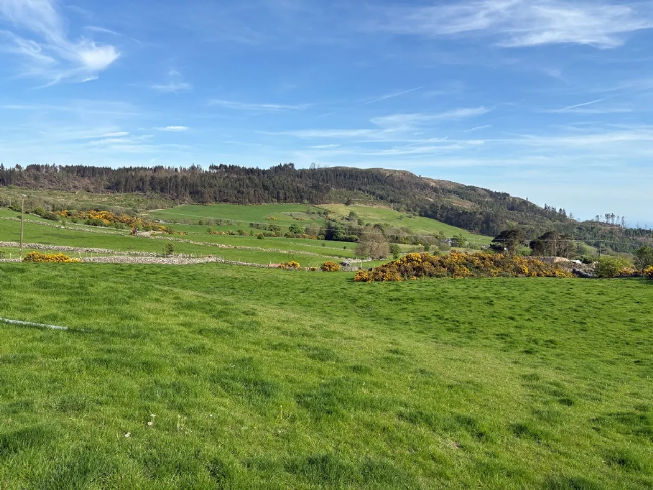 Photo of 3.5 Acres Grazing Lands, Jenkinstown, Co. Louth