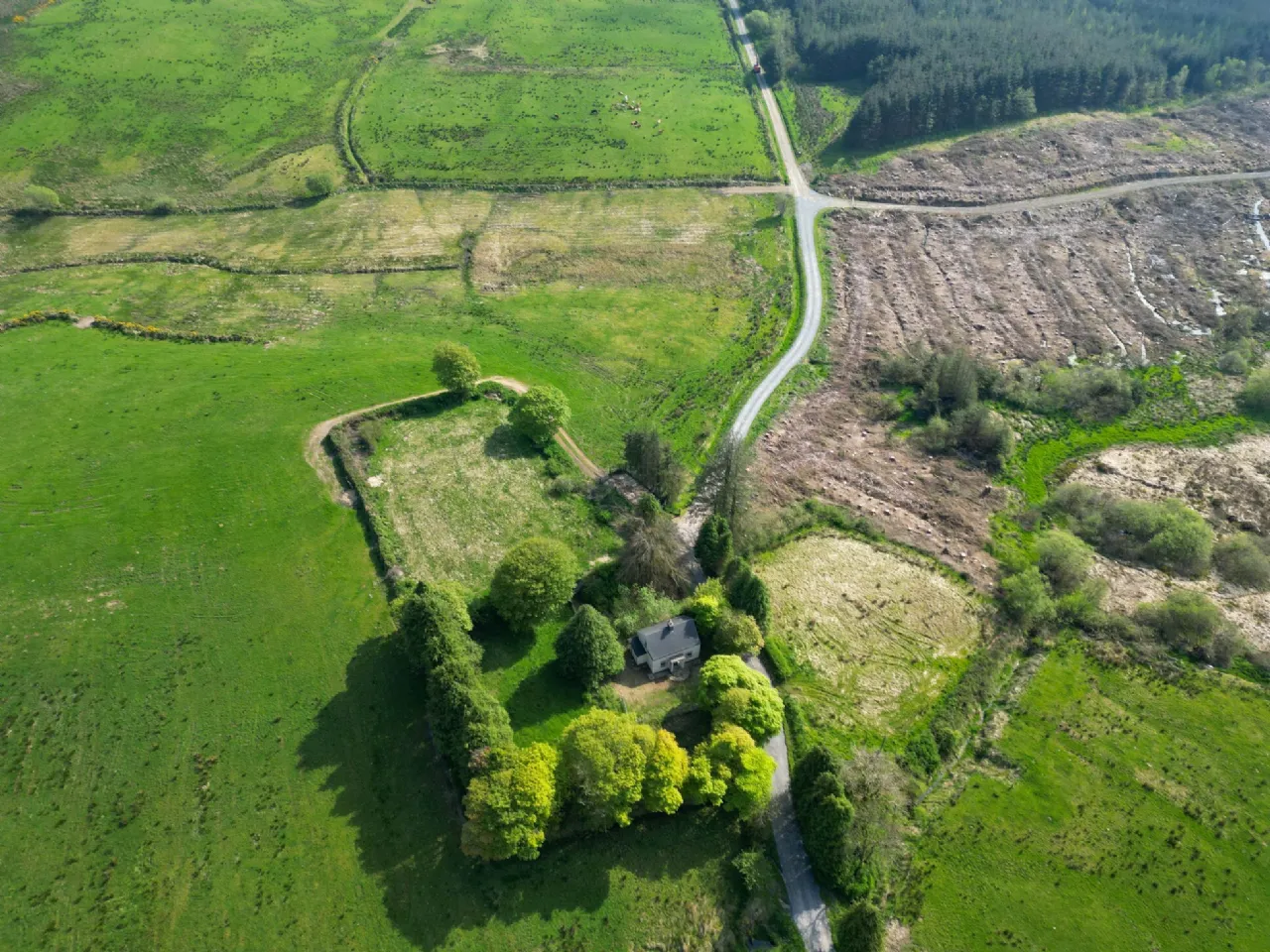 Photo of Gort, Milestone, Thurles, Co. Tipperary, E41 XR76