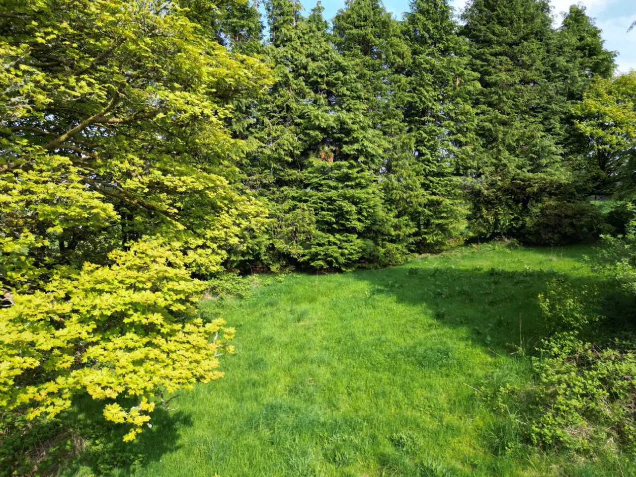 Photo of Gort, Milestone, Thurles, Co. Tipperary, E41 XR76