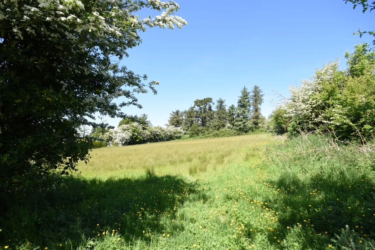 Photo of Upper Main Street, Brosna, Co Kerry