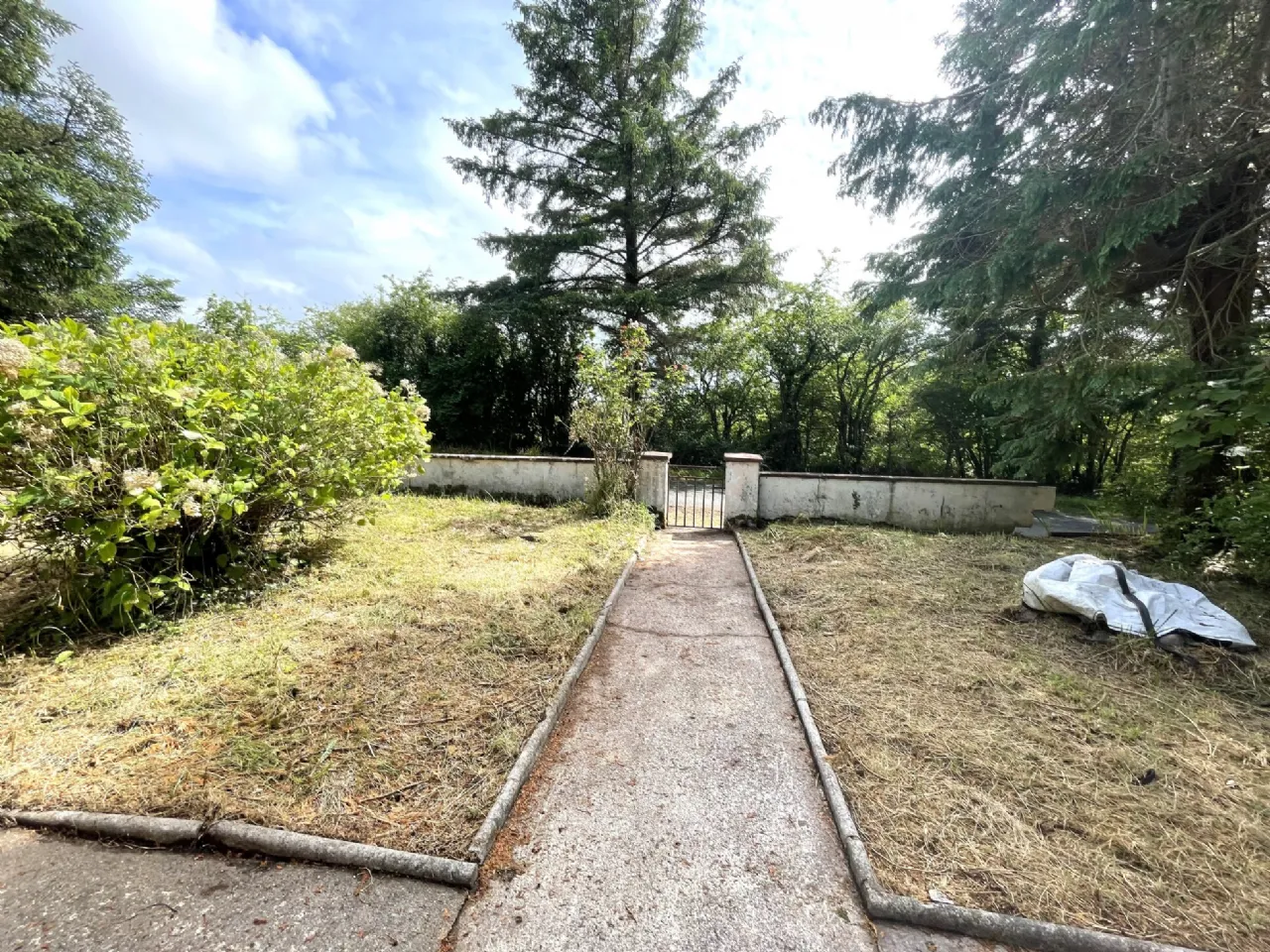 Photo of Roe, Kilmeena, Westport, Co Mayo, F28 CD71