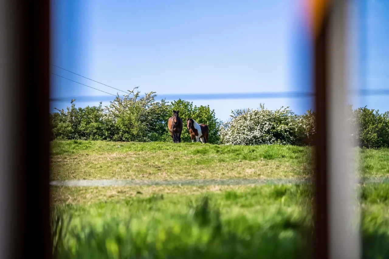 Photo of Annacramph,, Castleshane,, Co. Monaghan., H18 DX04