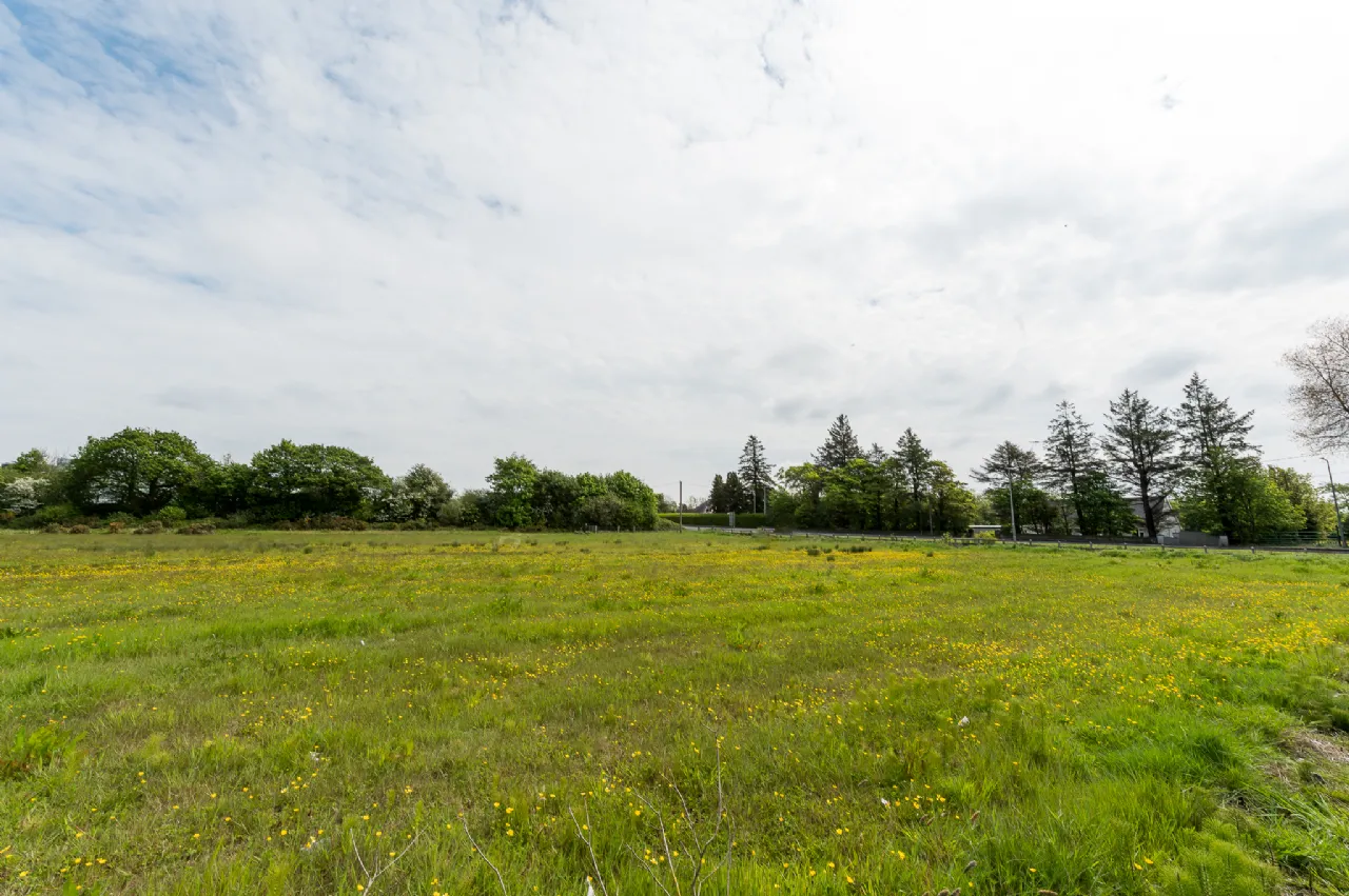 Photo of 5.51 Acres Of Land At, Holy Cross, Butlerstown, Waterford City, X91HX93