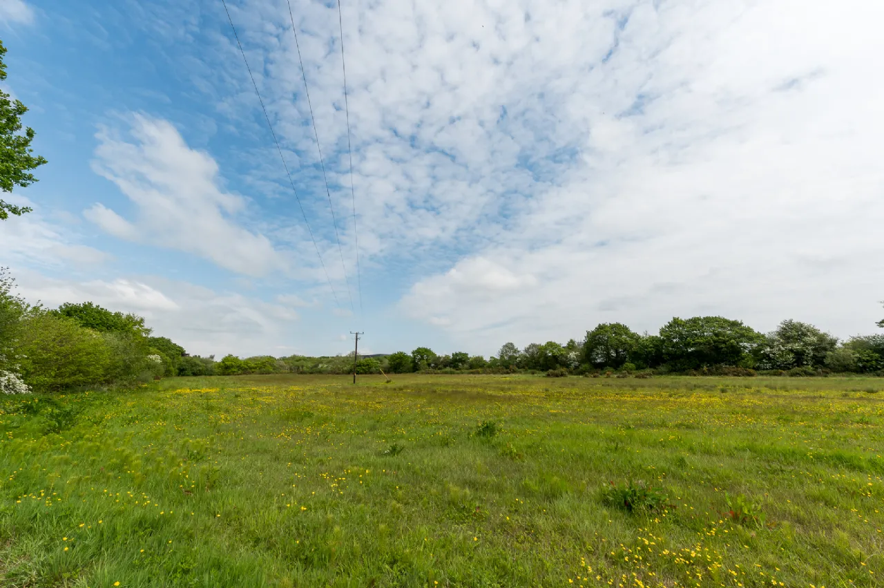 Photo of 5.51 Acres Of Land At, Holy Cross, Butlerstown, Waterford City, X91HX93