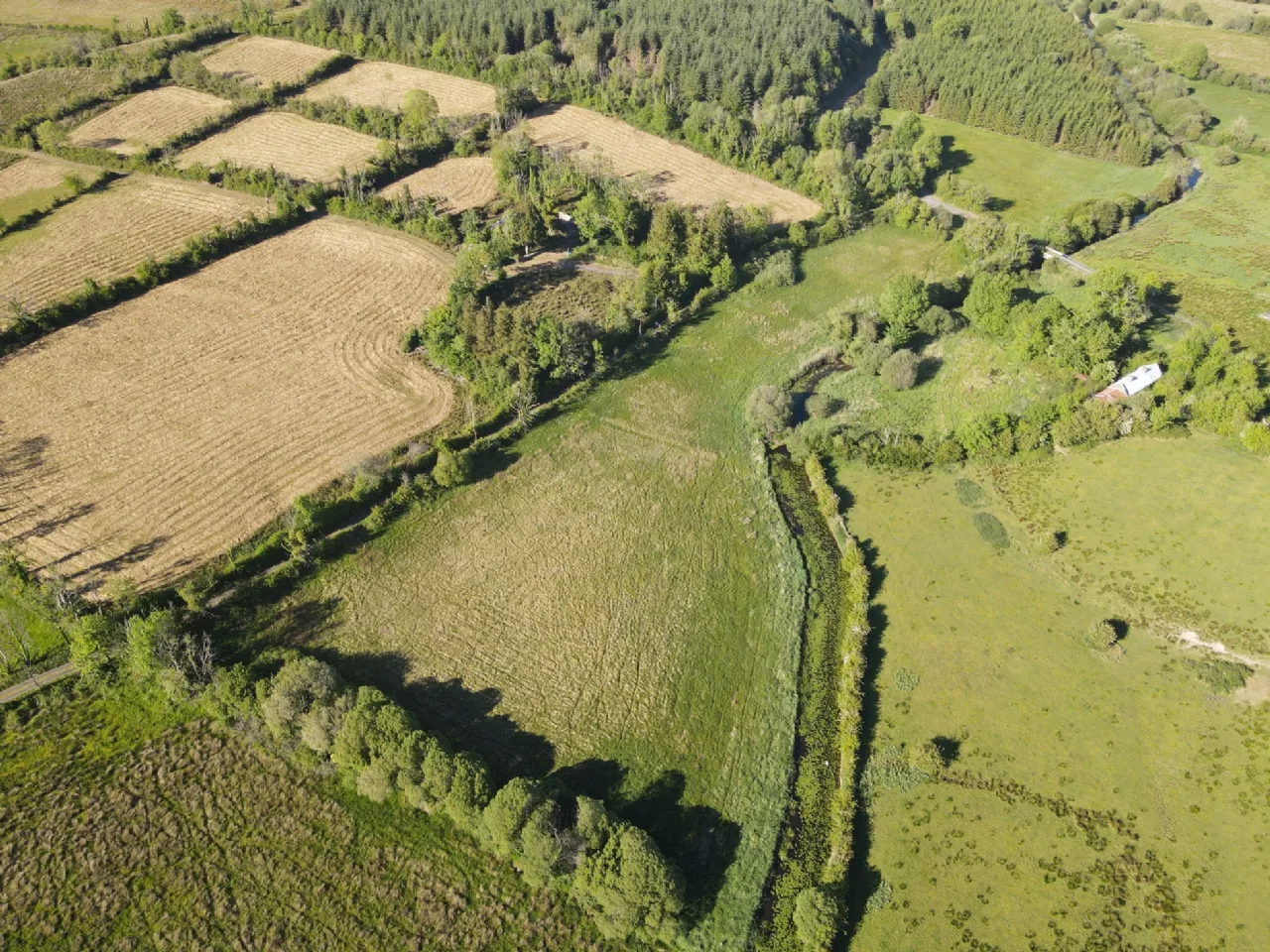 Photo of Canbo, Croghan, Carrick-On-Shannon, Co. Roscommon