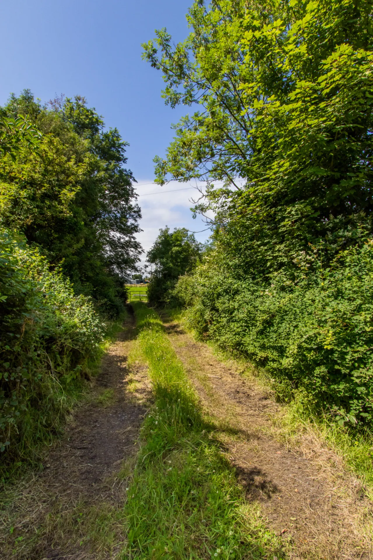 Photo of Land For Sale, Kilbarry, Rooskey, Co. Roscommon