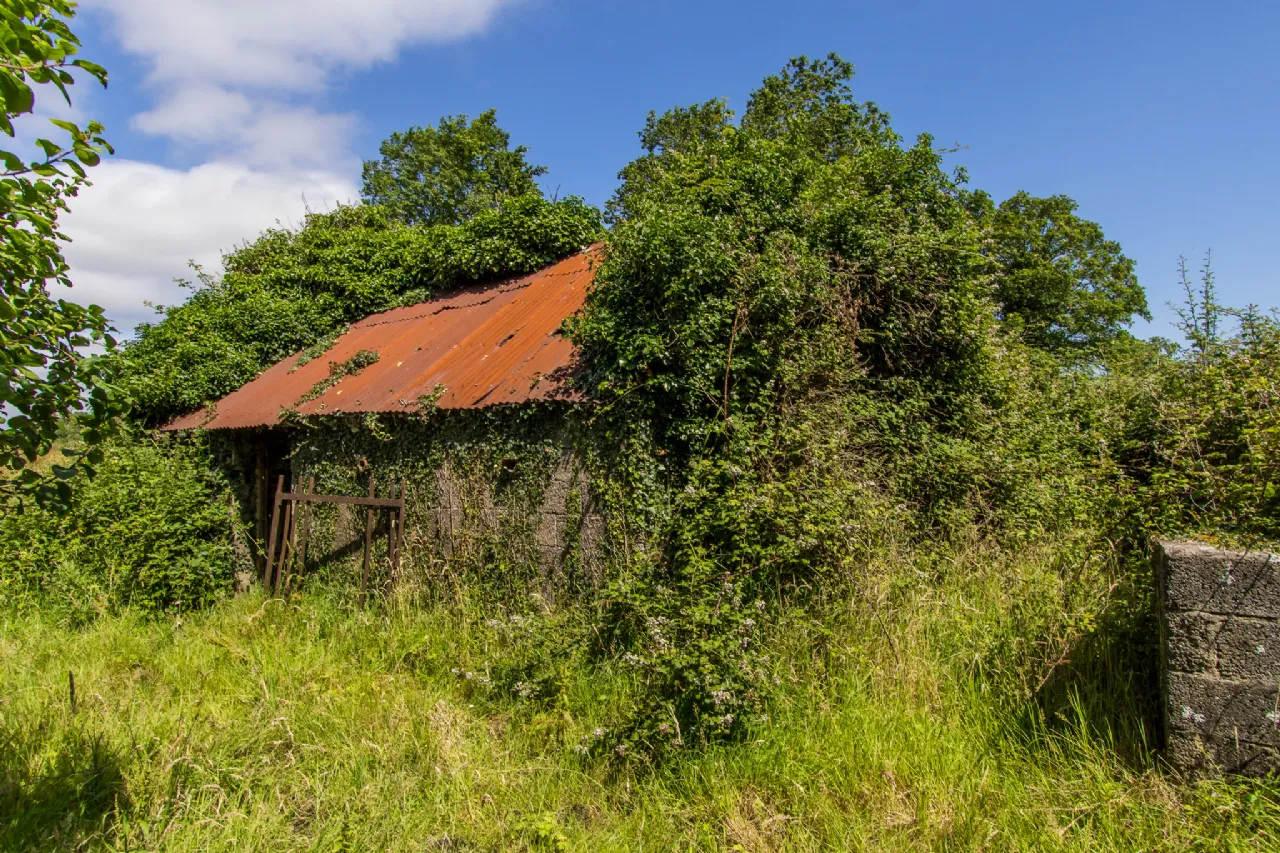 Photo of Land For Sale, Kilbarry, Rooskey, Co. Roscommon
