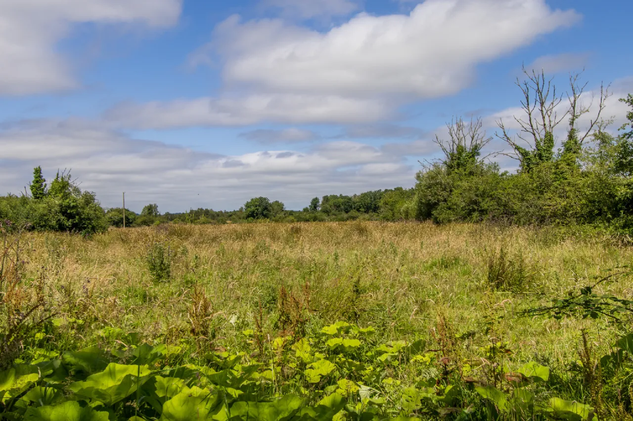 Photo of Land For Sale, Kilbarry, Rooskey, Co. Roscommon
