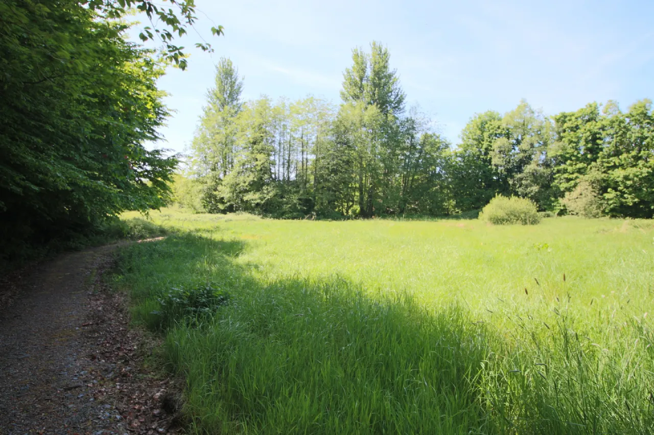 Photo of The Gate Lodge, Lough Rynn, Mohill, Co. Leitrim, N41 DH72