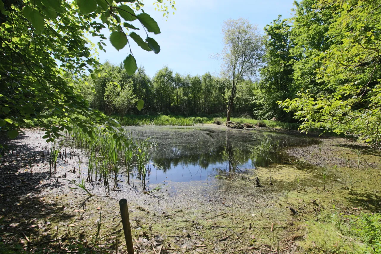 Photo of The Gate Lodge, Lough Rynn, Mohill, Co. Leitrim, N41 DH72