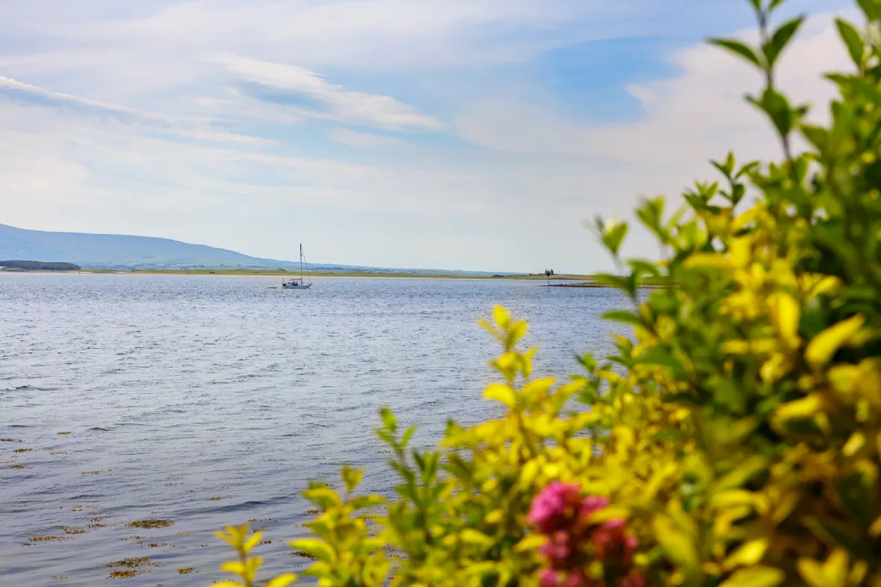 Photo of San Marino, Rosses Point, Co. Sligo, F91 X327